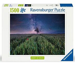 Power of nature puzzle: Field and Stars 1500